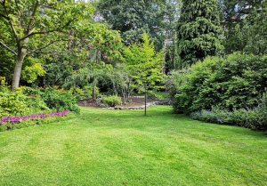 Optimiser l'expérience du jardin à Chamblanc